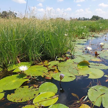 Golentle Home Stay Maun ภายนอก รูปภาพ