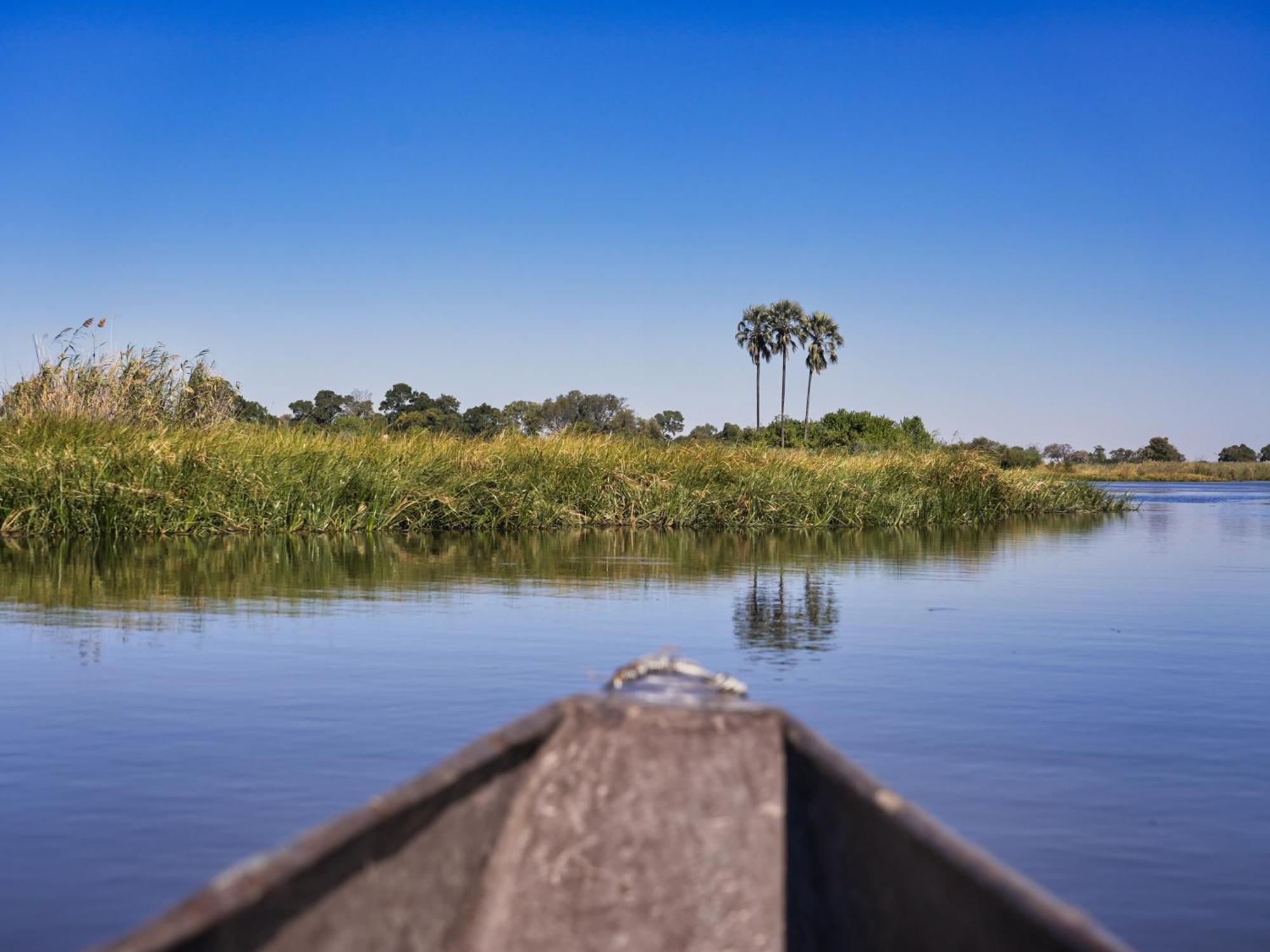 Golentle Home Stay Maun ภายนอก รูปภาพ