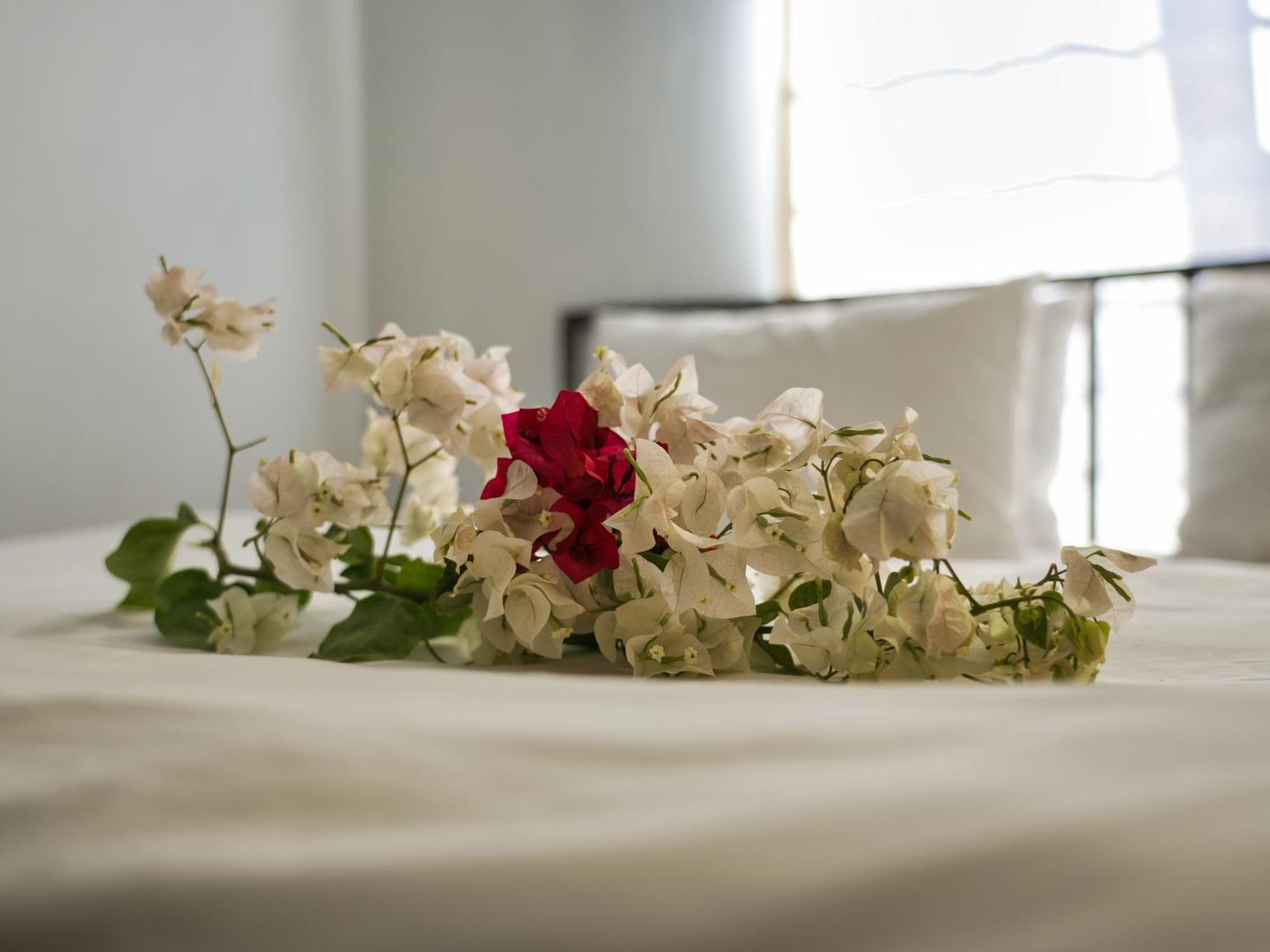 Golentle Home Stay Maun ห้อง รูปภาพ