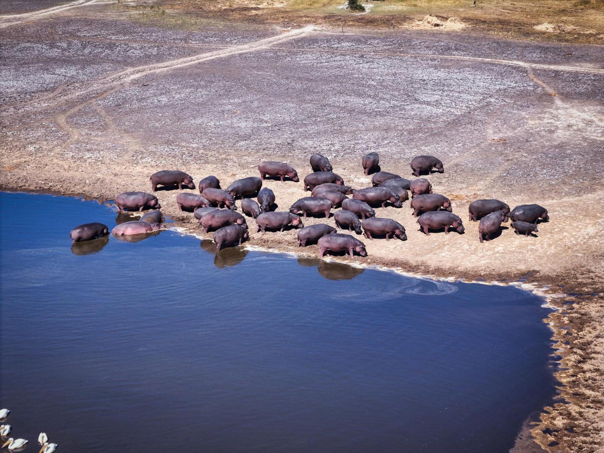 Golentle Home Stay Maun ภายนอก รูปภาพ