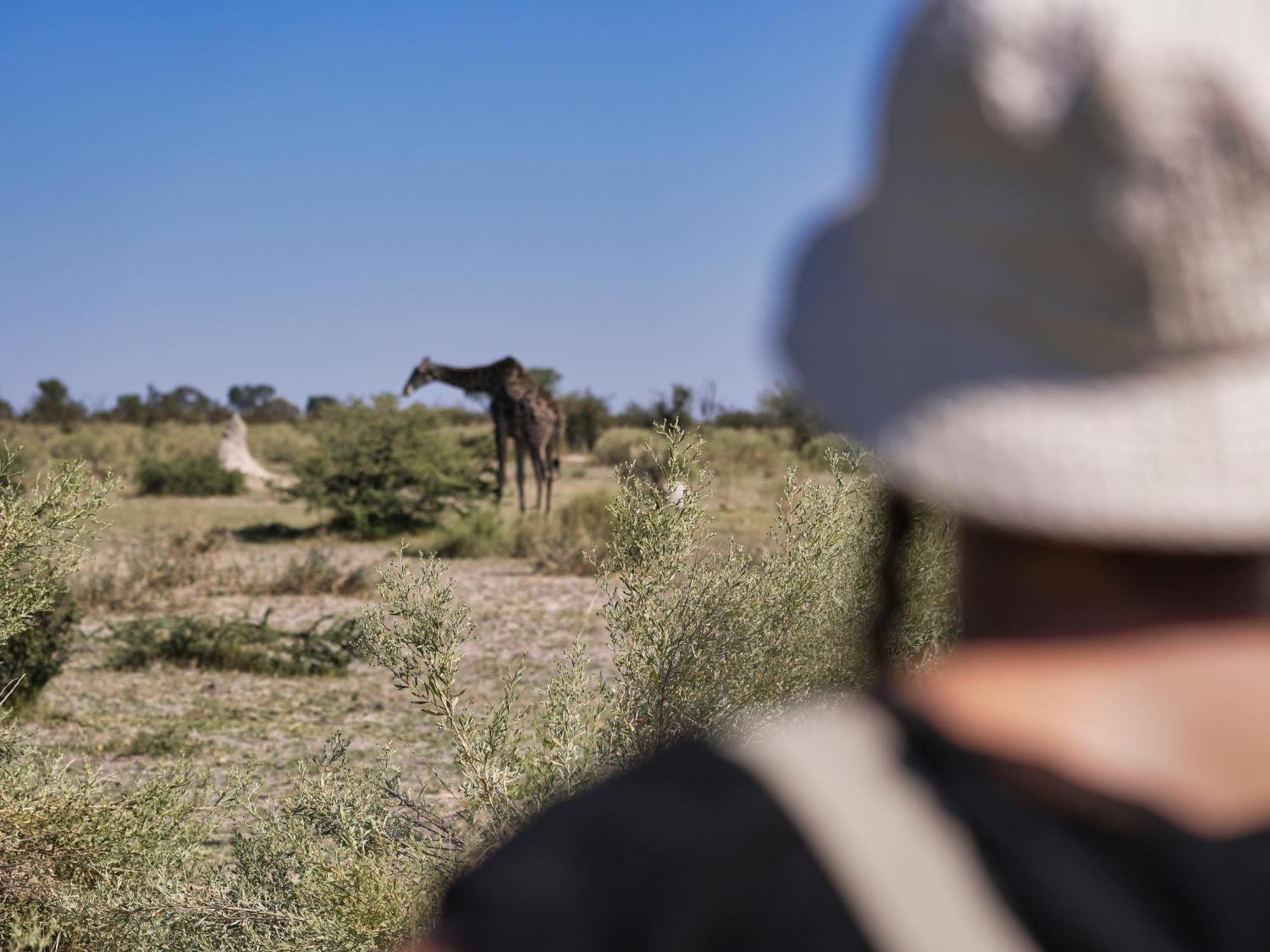 Golentle Home Stay Maun ภายนอก รูปภาพ