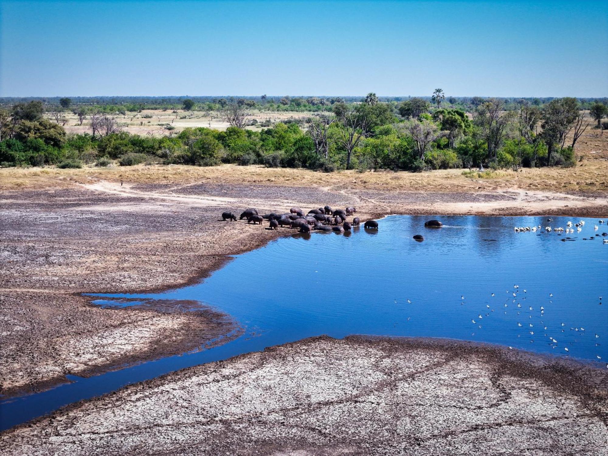 Golentle Home Stay Maun ภายนอก รูปภาพ