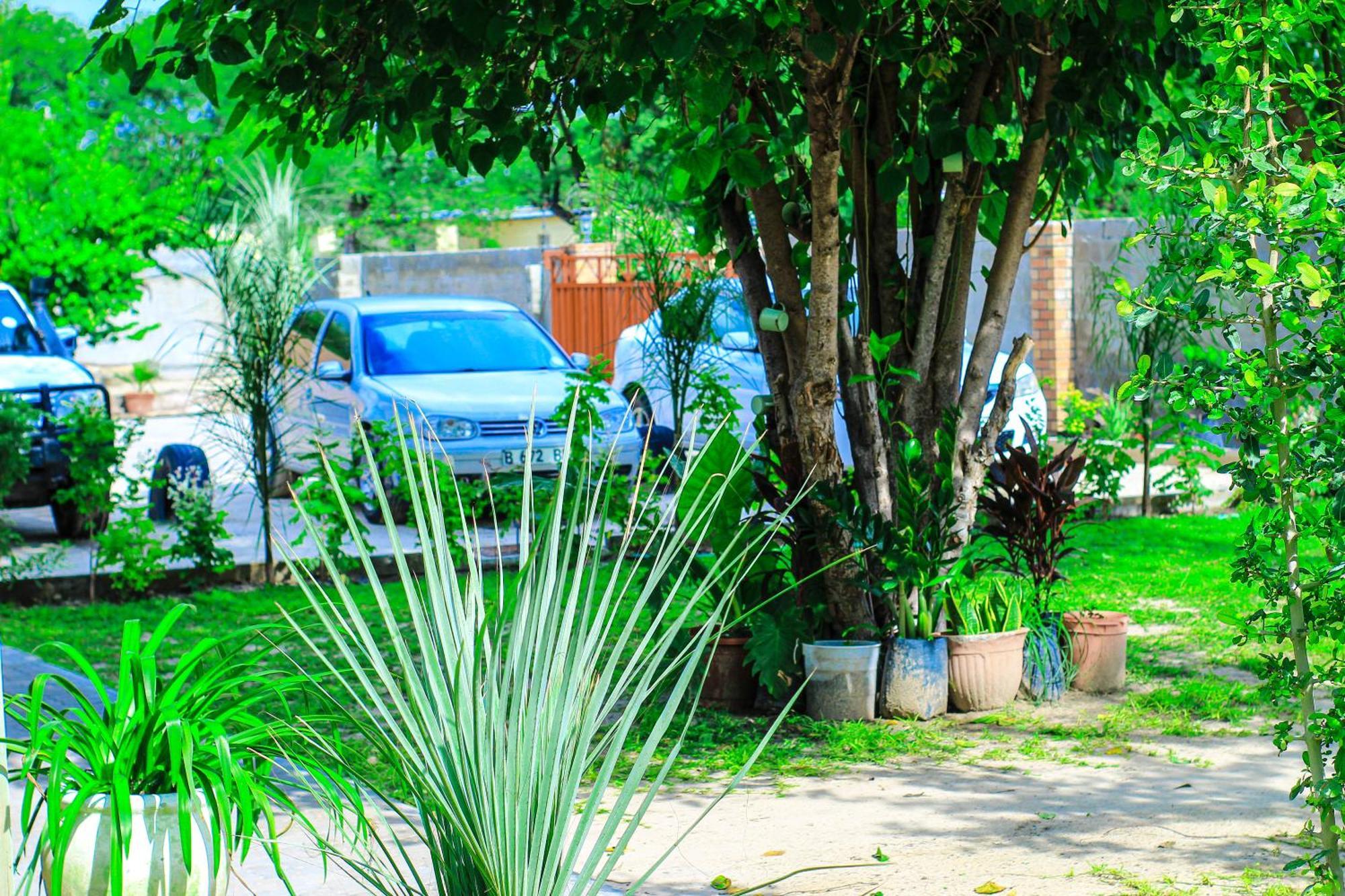 Golentle Home Stay Maun ภายนอก รูปภาพ