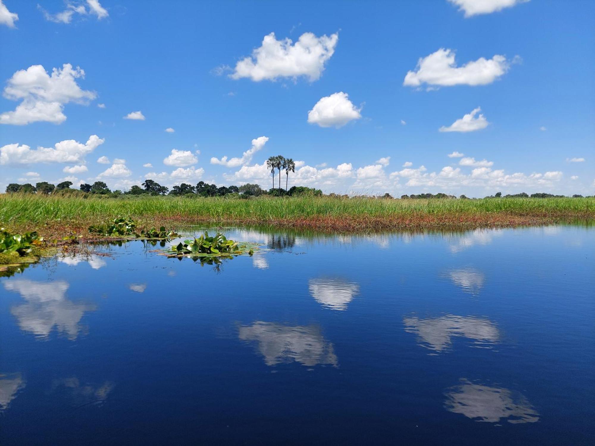 Golentle Home Stay Maun ภายนอก รูปภาพ